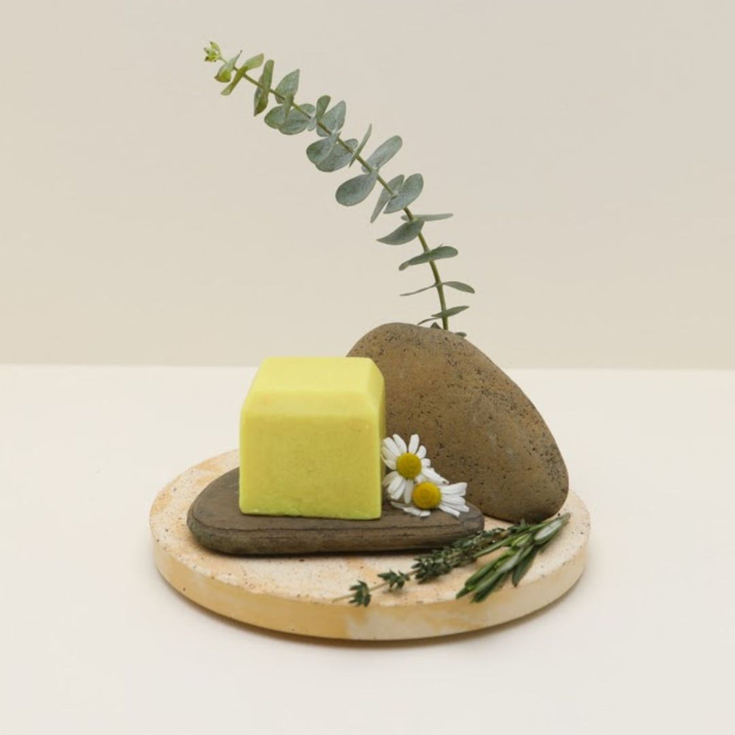 Solid Shampoo